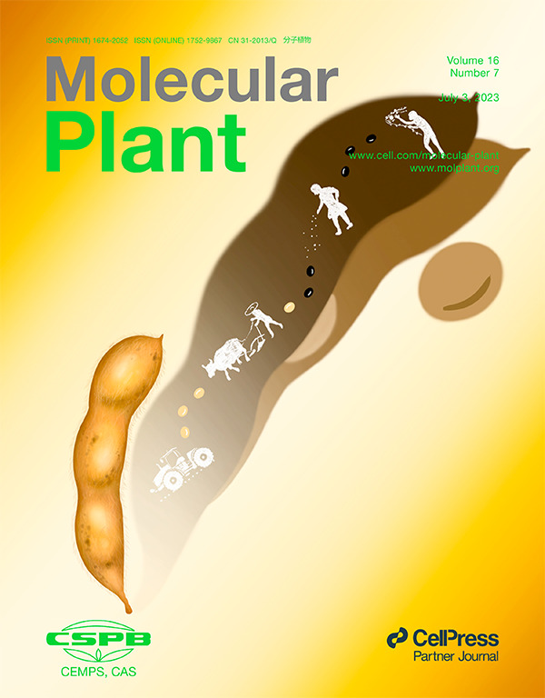 分子植物（英文版）（Molecular plant）