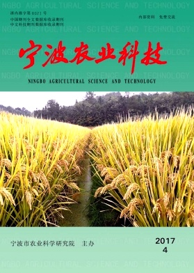 宁波农业科技（内刊）