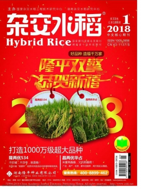 杂交水稻