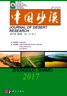 中国沙漠